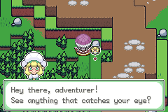 An NPC adventurer greeting the player on a wooded overworld path