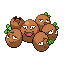 Exeggcute