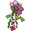 Floette