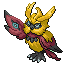 Noctowl