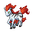 Ponyta