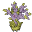 Reefsola