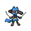 Riolu