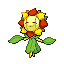 Sunflora
