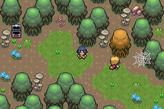 Two adventurers on a dirt path through a dense forest, with mushrooms, a cobweb and a wooden signpost