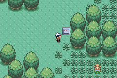 The player standing on a forest path between pine trees, with another trainer below