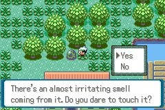 A Yes/No prompt beside a cluster of round green trees, reading There's an almost irritating smell coming from it. Do you dare to touch it?
