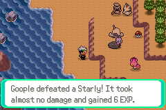A wild Starly beaten out on the map by the Pokémon following the player, with the message that it took almost no damage