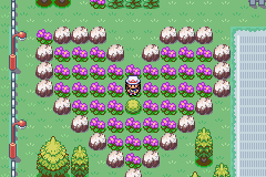 The player standing in a large field of purple and white flowers arranged in a heart-shaped pattern