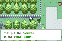 A forest path with the message "Yuki put the Antidote in the Items Pocket" across the bottom