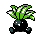 Oddish