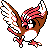 Pidgeotto