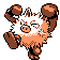 Primeape