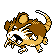Raticate