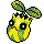 Sunkern