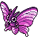 Venomoth