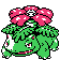 Venusaur