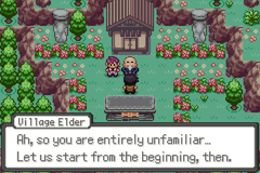 A Village Elder speaking to the player in a garden full of red flowers, saying Ah, so you are entirely unfamiliar... Let us start from the beginning, then.