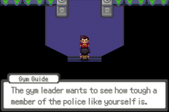 A Gym Guide standing before a purple gym entrance, saying The gym leader wants to see how tough a member of the police like yourself is.