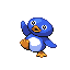 Baby Penguin