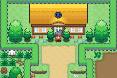 The player standing outside a farmhouse with a yellow roof, hedges and flowers around it