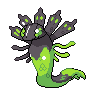 Zygarde (50%)