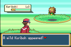 A wild Kuriboh encounter on an overworld route