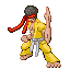 Karate Man