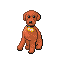 Outstanding Dog Marron