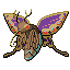 Poison Butterfly