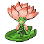 Samasara Lotus