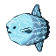 Space Mambo
